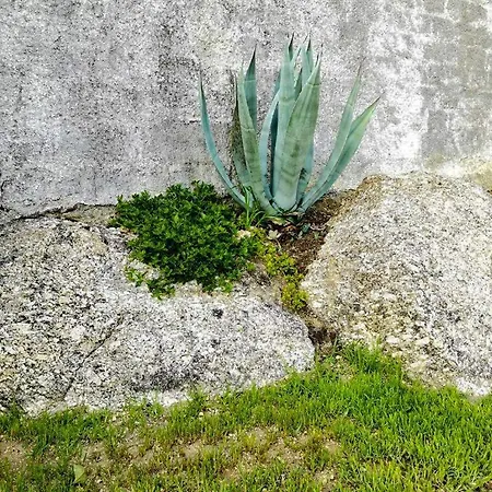 O Refugio 度假居 *