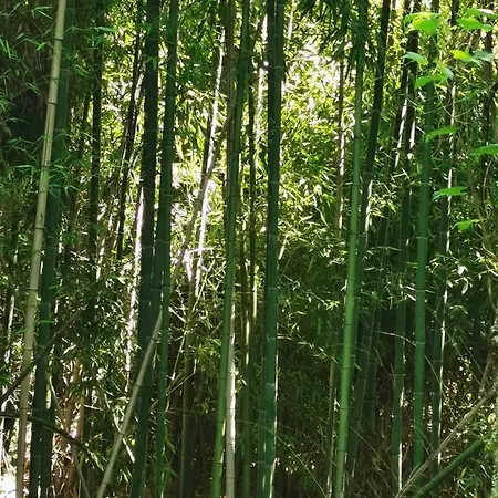 別荘 O Refugio コインブラ