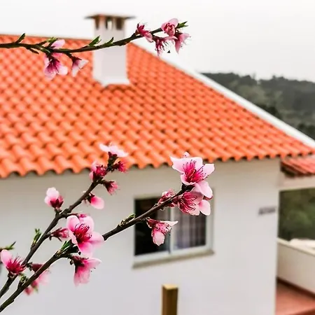 Holiday home O Refugio *