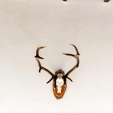 O Refugio Prázdninový dům