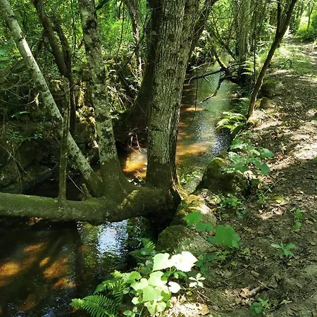 O Refugio Coimbra