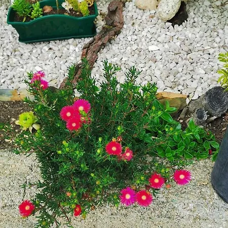 Ferienhaus O Refugio *