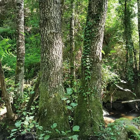 O Refugio Ferienhaus *