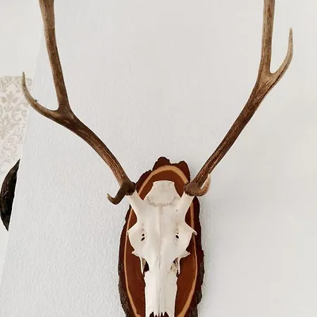 O Refugio Ferienhaus *