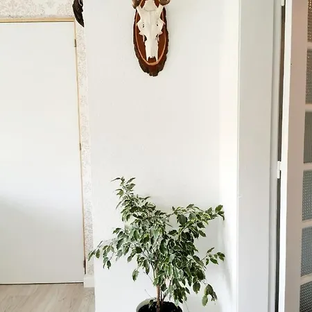 Ferienhaus O Refugio *