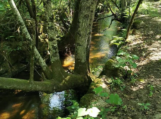 O Refugio コインブラ