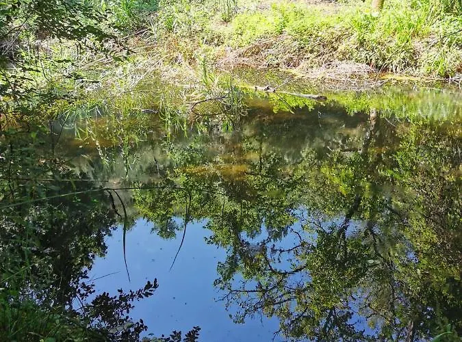 O Refugio * コインブラ